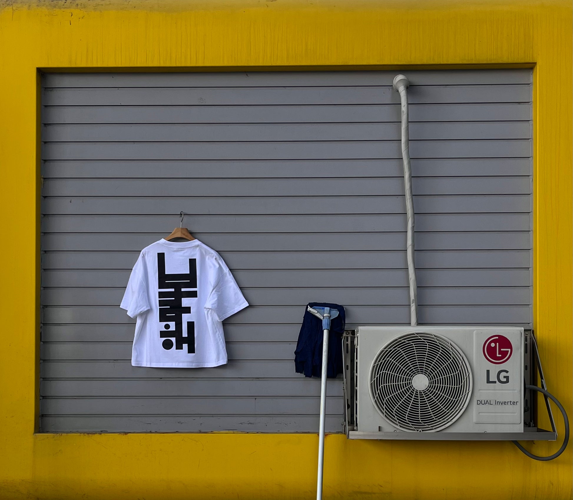 보라해 White